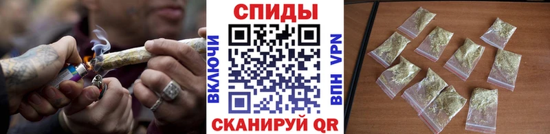 Бутират 1.4BDO  Купить где  Ершов 