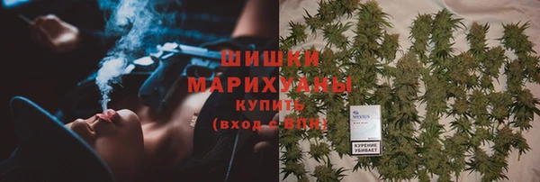 прущие грибы Иннополис