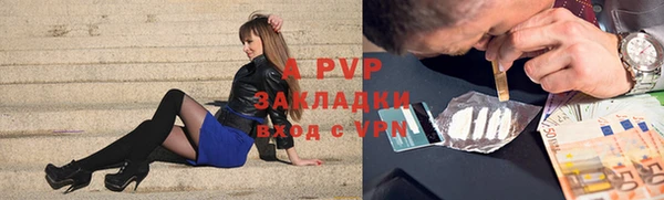 прущие грибы Иннополис