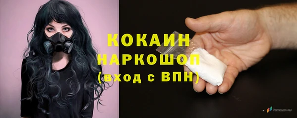 амф Инта