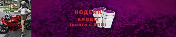 прущие грибы Иннополис