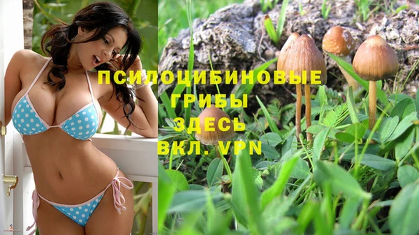 амф Инта