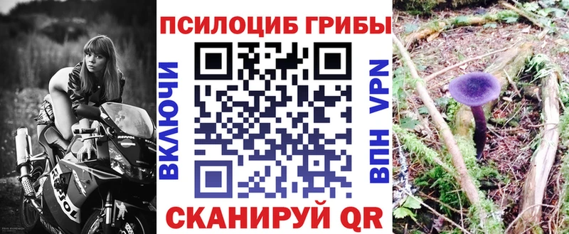 Купить  Ершов  Галлюциногенные грибы MAGIC MUSHROOMS 